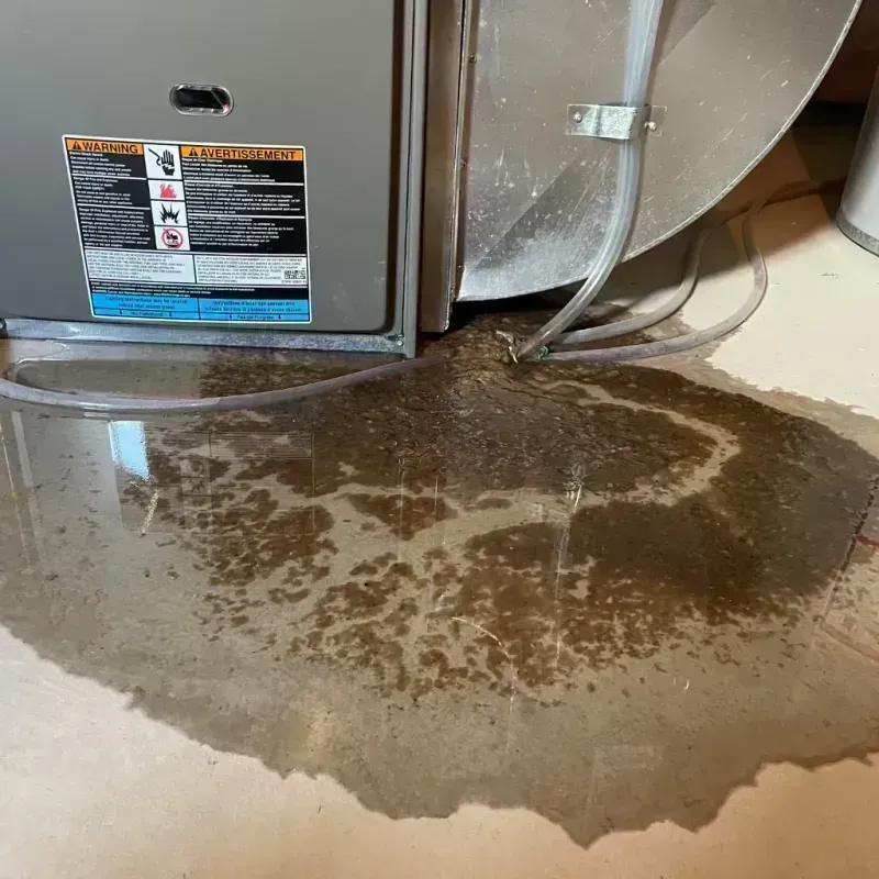 Appliance Leak Cleanup in Princeton, WV